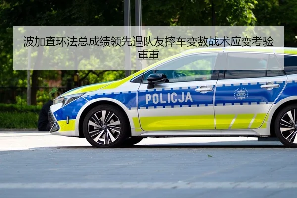 bo-jia-cha-huan-fa-zong-cheng-ji-ling-xian-yu-dui-you-shuai-che-bian-shu-zhan-shu-ying-bian-kao-yan-chong-chong-2-299.jpg