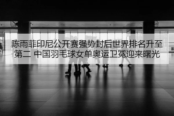 chen-yu-fei-yin-ni-gong-kai-sai-qiang-shi-feng-hou-shi-jie-pai-ming-sheng-zhi-di-er-zhong-guo-yu-mao-qiu-nv-dan-ao-yun-2-506.jpg