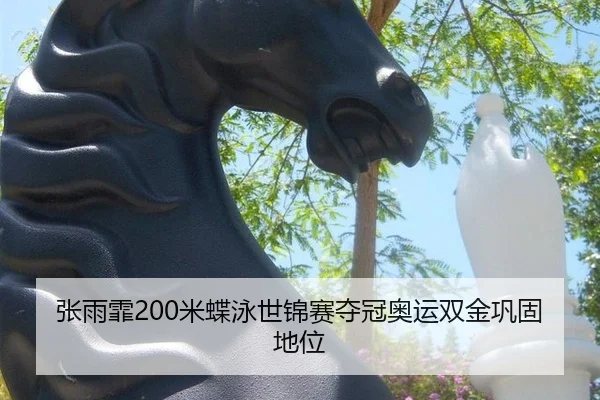 张雨霏200米蝶泳世锦赛夺冠奥运双金巩固地位