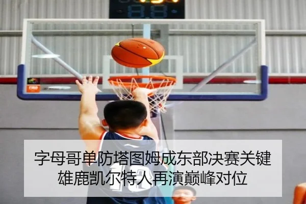 字母哥单防塔图姆成东部决赛关键 雄鹿凯尔特人再演巅峰对位